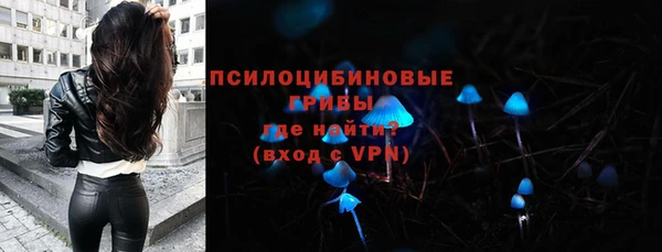 бошки Арсеньев