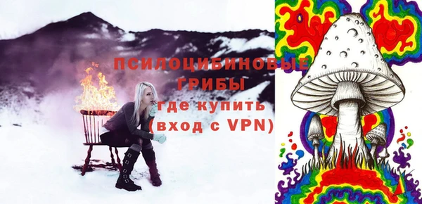 бошки Арсеньев